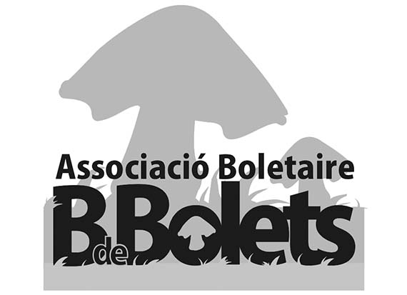 Logo Gris Assocació boletaire B de Bolets